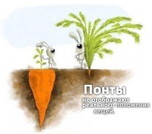 Клуб Тропа Клуб Тропа