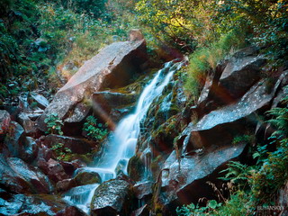 Водопад в Карпатах